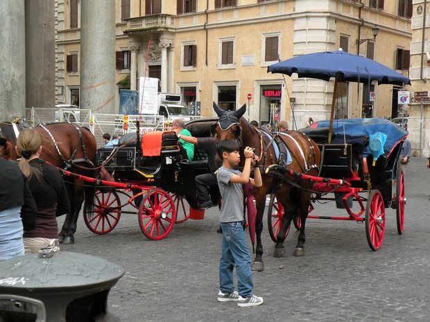  calèches pour touristes